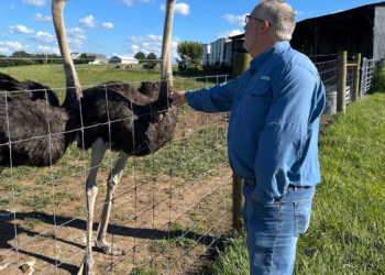 A Kentucky man with a meat allergy was craving a burger. So he got into ostrich farming