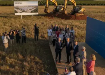 German Luxury Giant Plants Roots in the Heart of Georgia