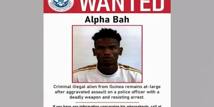 Manhunt underway for violent illegal immigrant who was released under NYC sanctuary policies