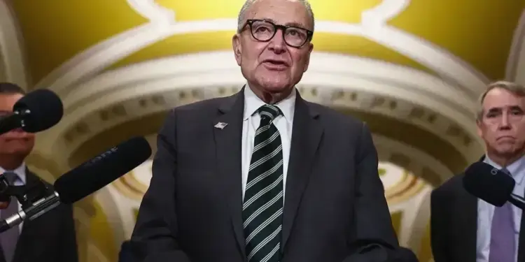 Schumer accused of yearlong plot to plant ‘decoy’ candidate in critical Senate race